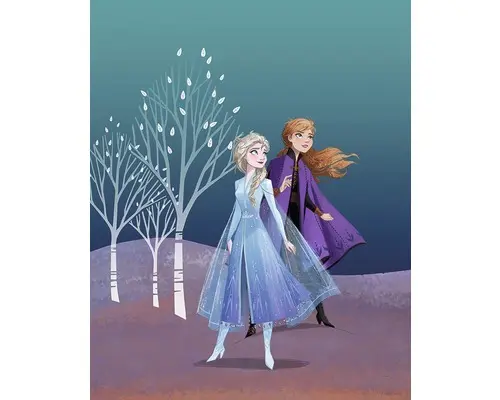 Poster Frozen Sisters 40x50 cm