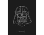 Hornbach Poster SW Lines Dark Side Vader 40x50 cm