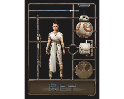 Poster SW Toy Rey 30x40 cm