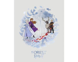 Poster Frozen Spirit 40x50 cm