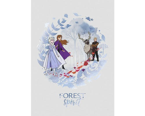 Poster Frozen Spirit 50x70 cm