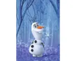 Hornbach Poster Frozen Olaf Crystal 50x70 cm