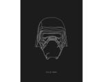 Hornbach Poster SW Lines Dark Side Kylo 30x40 cm