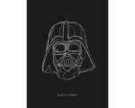 Hornbach Poster SW Lines Dark Side Vader 30x40 cm