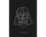 Hornbach Poster SW Lines Dark Side Vader 30x40 cm