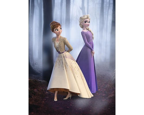 Poster Frozen Wood Walk 30x40 cm