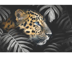 Maxiposter Leopard Leafs 61x91,5 cm