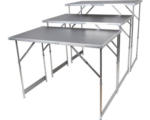 Hornbach Multifunktionstisch 3-teilig Tapeziertisch höhenverstellbar grau 3x 100 x 60 x 73 cm