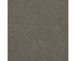 Hornbach Teppichboden Velours Fortesse beige FB039 400 cm breit (Meterware)