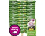 Hornbach Teicherde FloraSelf Select 54x18 L (= 0,97 m³) Palette inkl. Lieferung