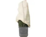 Hornbach Winterschutz-Vlieshaube Videx Winter-Glamour 110x110 cm beige/kupfer