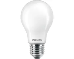 LED Lampe A60 matt E27/10,5W(100W) 1521 lm 2700 K warmweiß