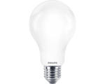 Hornbach LED Lampe A67 matt E27/13W(120W) 2000 lm 2700 K warmweiß