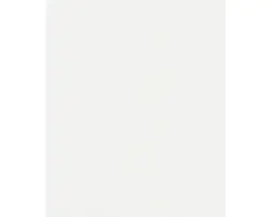 Vliestapete 1350 keimEx weiß 8,10 x 0,46 m