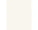 Hornbach Vliestapete 1351 keimEx beige 8,10 x 0,46 m