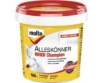 Hornbach MOLTO Alleskönner innen Champion 500 ml
