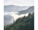 Hornbach Glasbild Gloomy Landscape II 30x30 cm