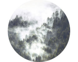 Glasbild rund Foggy Trees III Ø 20 cm