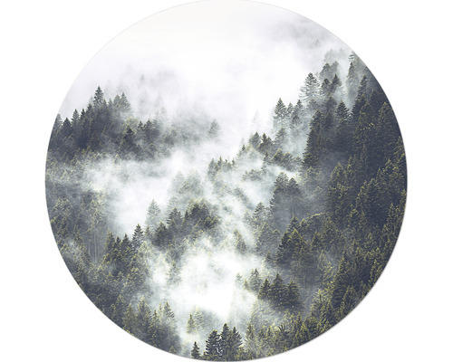 Glasbild rund Foggy Trees III Ø 20 cm