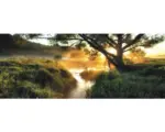 Hornbach Glasbild Misty landscape II 50x125 cm