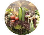 Hornbach Glasbild rund Gemüse I Ø 20 cm