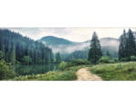Hornbach Glasbild Forest Trail 50x125 cm
