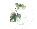 Hornbach Glasbild rund Palm Leaves II Ø 30 cm