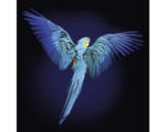 Hornbach Glasbild Blue Parrot 30x30 cm