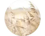 Hornbach Glasbild rund Strandgras IV Ø 30 cm