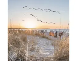 Leinwandbild Northsea coast 40x40 cm