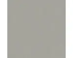 Hornbach Vliestapete 84854 Uni anthrazit