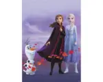 Hornbach Leinwandbild Disney Die Eiskönigin Herbst 50x70 cm