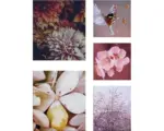 Hornbach Leinwandbild Blumen in rosa 5er-Set 60x80 cm