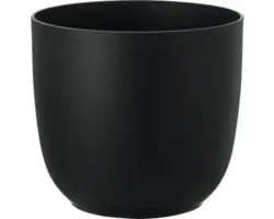 Lafiora Pflanztopf KST Fern Ø 28.1cm, tannengrü