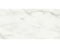 Feinsteinzeug Bodenfliese Eterna 60,0x120,0 cm weiß grau glänzend rektifiziert