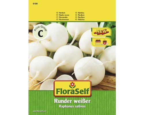 Rettich 'Runder Weißer' samenfestes Saatgut Gemüsesamen