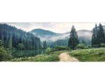 Hornbach Glasbild Forest Trail 30x80 cm