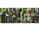 Hornbach Glasbild Vertical Garden 50x125 cm