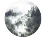 Hornbach Glasbild rund Mystic Forest V Ø 30 cm