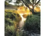 Hornbach Glasbild Misty landscape II 50x50 cm
