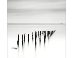 Glasbild Out of the water II 20x20 cm