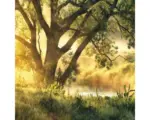 Hornbach Glasbild Misty landscape I 20x20 cm