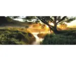 Hornbach Glasbild Misty landscape II 30x80 cm