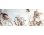 Hornbach Glasbild In The Breeze I 50x125 cm