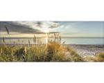 Hornbach Glasbild Wilder Strand 50x125 cm