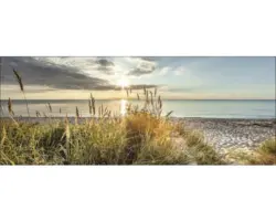 Glasbild Wilder Strand 50x125 cm
