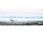 Hornbach Glasbild Deer in the fog 50x125 cm