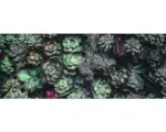 Hornbach Glasbild Strange Flowers 50x125 cm
