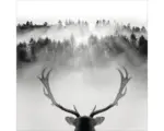 Hornbach Glasbild King of the Forest 30x30 cm