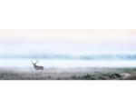 Hornbach Glasbild Deer in the fog 30x80 cm